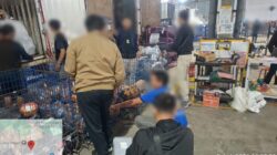 Tengah Malam Tanpa Henti, Bea Cukai Malang Sikat Rokok Ilegal di Jasa Ekspedisi