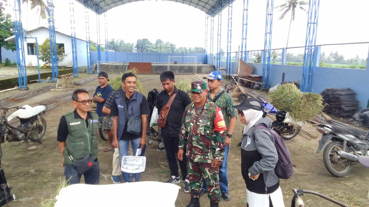 Bantu Petani dan Mendukung Program Ketahanan Pangan, Prajurit Kodim 0818 Pendampingan Serapan Gabah Petani