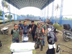 Bantu Petani dan Mendukung Program Ketahanan Pangan, Prajurit Kodim 0818 Pendampingan Serapan Gabah Petani