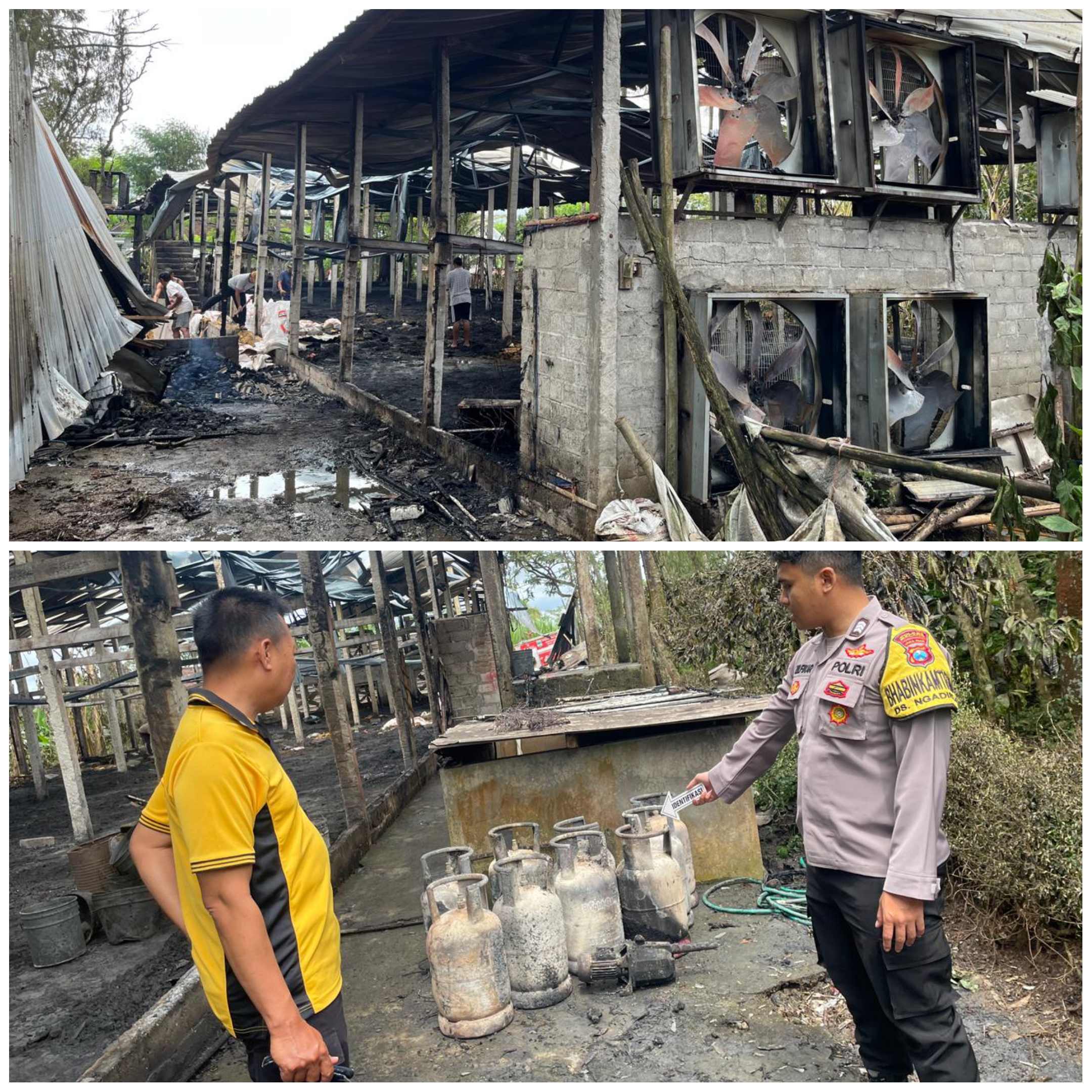 Kandang Ayam Broiler di Kromengan Ludes Terbakar, Kerugian Capai Rp 740 Juta