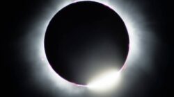 Gerhana Matahari Cincin Bakal Muncul Jelang Ramadan 2026, Catat Waktu dan Lokasinya
