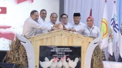 Malang Jadi Pusat GPS Ayam Nasional, Disiapkan untuk MBG