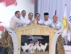 Malang Jadi Pusat GPS Ayam Nasional, Disiapkan untuk MBG