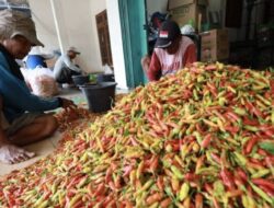 Cabai Rawit di Kota Batu Tembus Rp90 Ribu Jelang Ramadan