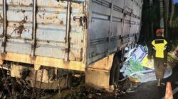 Kronologi Truk Pakan Ternak Alami Rem Blong hingga Hantam 4 Kendaraan di Batu Kronologi Truk Pakan Ternak Alami Rem Blong hingga Hantam 4 Kendaraan di Batu