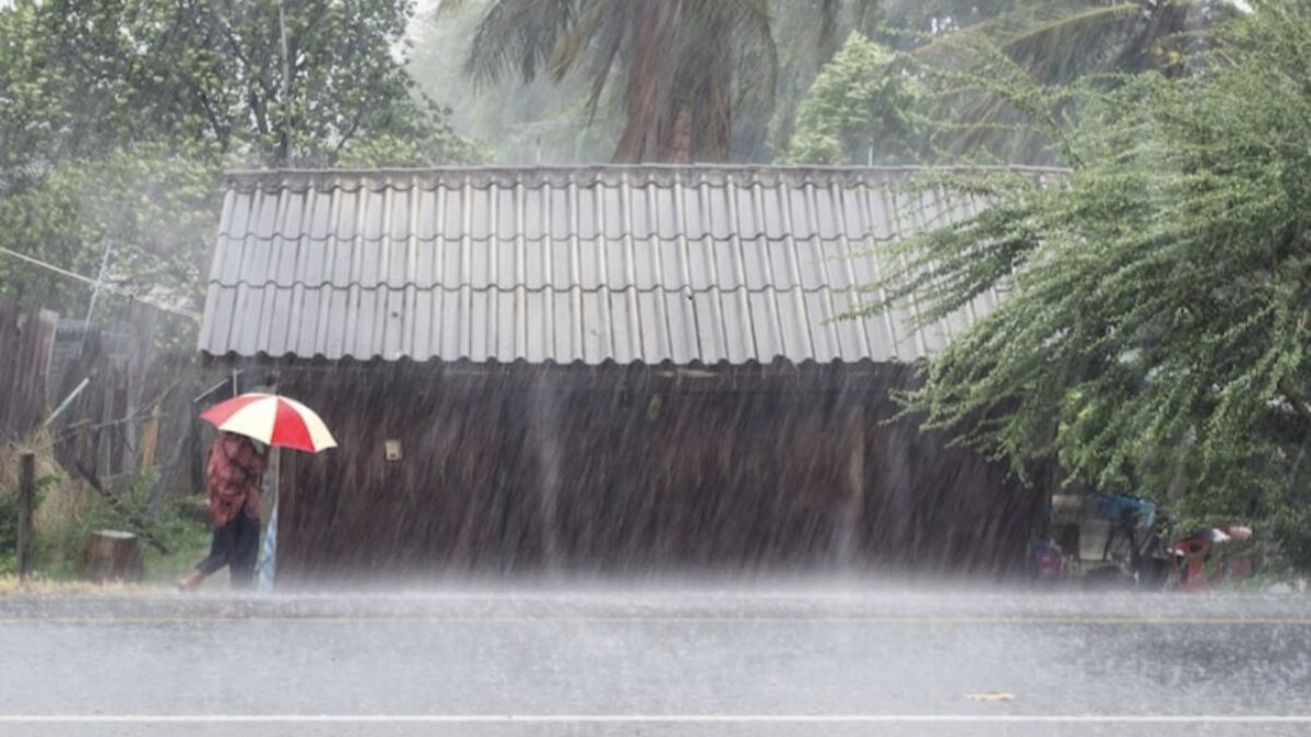 Cuaca Jatim Hari Ini Berpotensi Ekstrem, Ada Hujan Lebat hingga Angin 33 Knot
