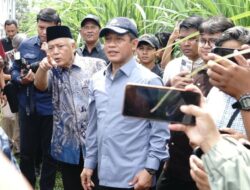 PSEL Pakis Masuk Tahap Kajian, Menteri LH Sebut Lokasi Penuhi Syarat Awal