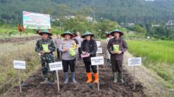 Memperkuat Ketahanan Pangan dan Swasembada Pangan, Kodim 0818 Bersama Forkopimda Tanam Jagung