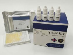 UB Menciptakan Alat Pendeteksi Dini Hipotiroid untuk Bayi Baru Lahir