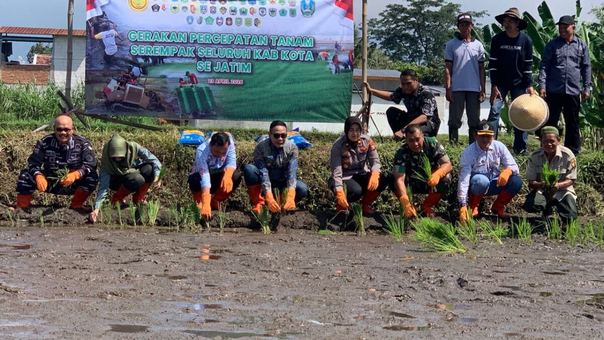 Wali Kota Malang Ikuti Tanam Padi Serentak Jatim, Percepat Produksi Hadapi Potensi Kemarau