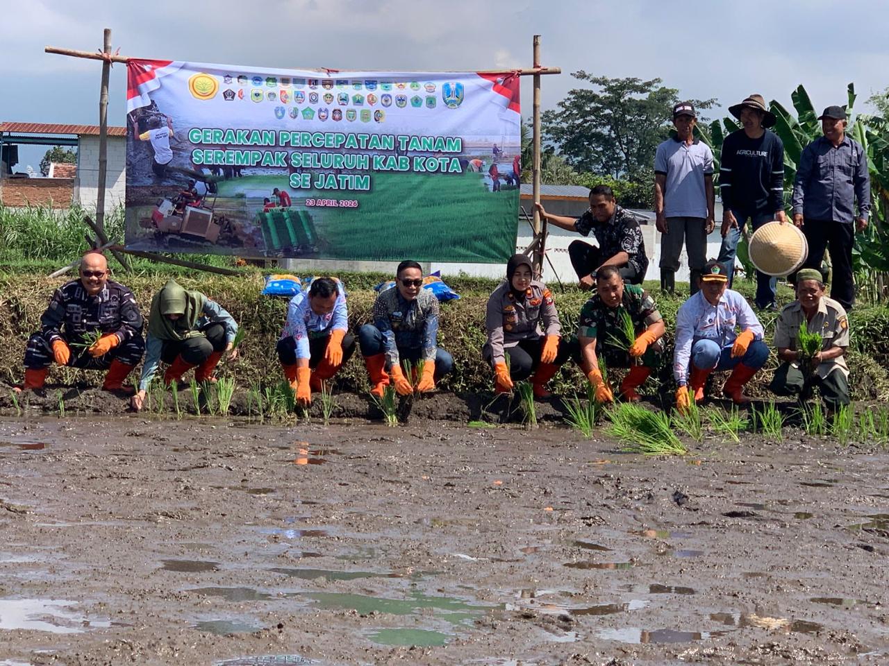 Wali Kota Malang Ikuti Tanam Padi Serentak Jatim, Percepat Produksi Hadapi Potensi Kemarau