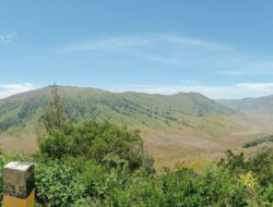 Selain Pulihkan Ekosistem, Ini Agenda di Balik Penutupan Gunung Bromo