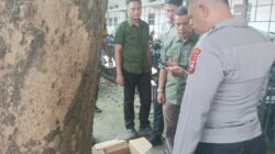 Bayi Perempuan Ditemukan Tewas dalam Kardus di Klojen, Polisi Selidiki Pelaku