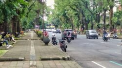 Kejar Target RTH 30 Persen, Pemkot Malang Siapkan Perda Baru dan Evaluasi Izin Lahan