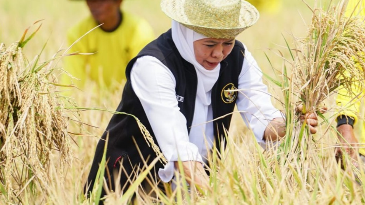 Antisipasi Kemarau 2026, Khofifah Dorong Percepatan Tanam dan Sistem Siaga Kekeringan di Jatim