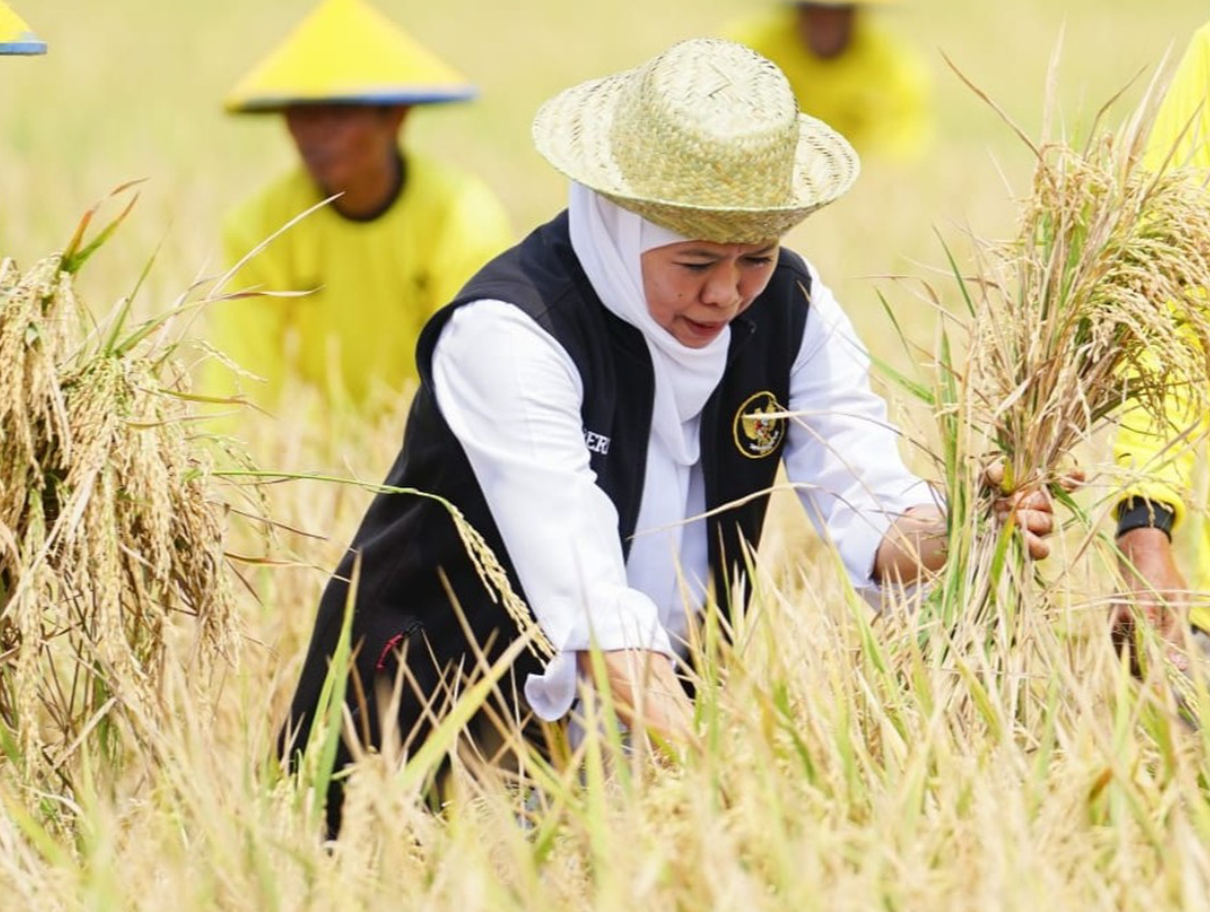 Antisipasi Kemarau 2026, Khofifah Dorong Percepatan Tanam dan Sistem Siaga Kekeringan di Jatim