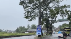 Awas Bahaya! Banjir Lowokdoro Malang Telan Badan Jalan