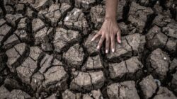 Kemarau Mengintai Malang Raya, Sinyal El Nino Picu Kecemasan