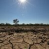 Dampak El Nino 2026 di Jawa Timur: Wilayah Mana Paling Parah Kekeringan?
