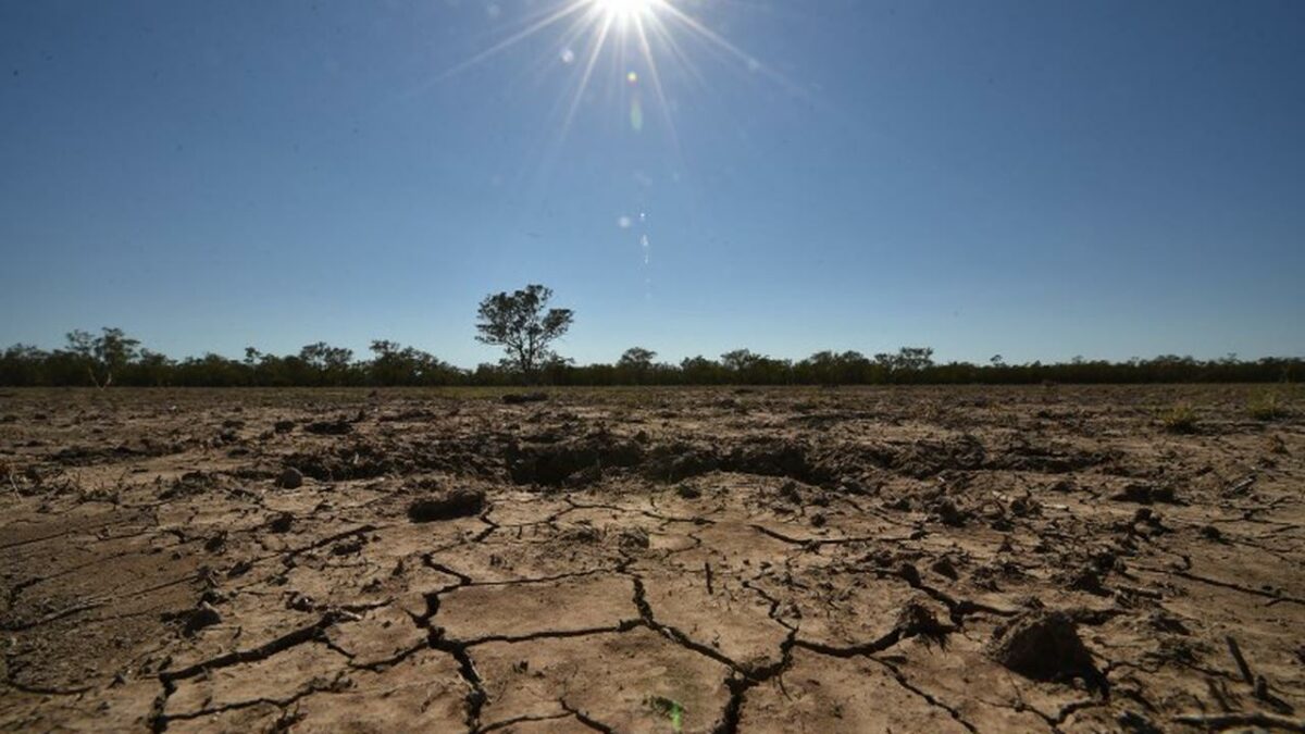 Dampak El Nino 2026 di Jawa Timur: Wilayah Mana Paling Parah Kekeringan?