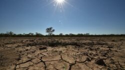 Dampak El Nino 2026 di Jawa Timur: Wilayah Mana Paling Parah Kekeringan?