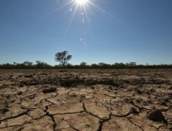 Dampak El Nino 2026 di Jawa Timur: Wilayah Mana Paling Parah Kekeringan?