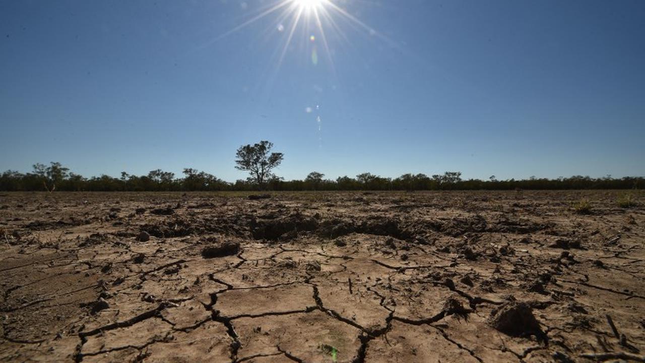 Dampak El Nino 2026 di Jawa Timur: Wilayah Mana Paling Parah Kekeringan?