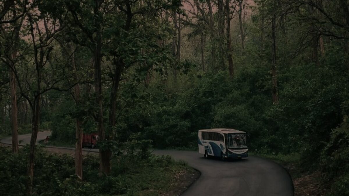 5 Jalur yang Membelah Hutan di Indonesia dan Dikelilingi Beragam Mitos Misterius