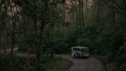 5 Jalur yang Membelah Hutan di Indonesia dan Dikelilingi Beragam Mitos Misterius 5 Jalur yang Membelah Hutan di Indonesia dan Dikelilingi Beragam Mitos Misterius