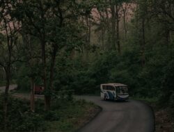 5 Jalur yang Membelah Hutan di Indonesia dan Dikelilingi Beragam Mitos Misterius