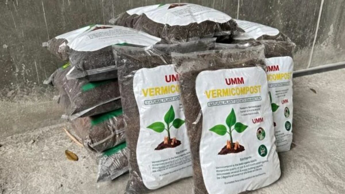 UMM Olah 92 Persen Sampah Organik Menjadi Pupuk dan Eko-Enzim Kampus UMM Olah 92 Persen Sampah Organik Menjadi Pupuk dan Eko-Enzim Kampus