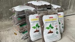 UMM Olah 92 Persen Sampah Organik Menjadi Pupuk dan Eko-Enzim Kampus UMM Olah 92 Persen Sampah Organik Menjadi Pupuk dan Eko-Enzim Kampus