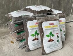 UMM Olah 92 Persen Sampah Organik Menjadi Pupuk dan Eko-Enzim Kampus