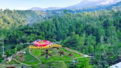 Coban Rais Batu: Air Terjun 20 Meter Berpanorama Hijau yang Kini Punya 35 Spot Foto