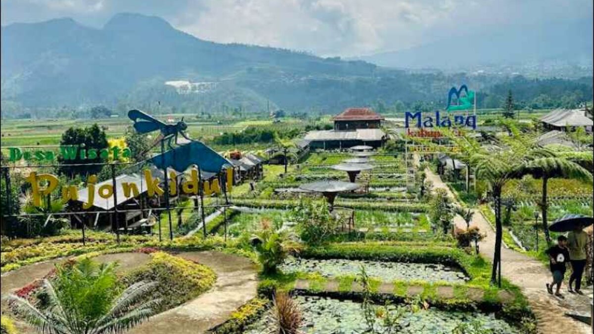 Habiskan Sabtu di Pujon Kidul: Makan di Tengah Sawah, Memerah Susu, dan Pulang Lebih Tenang