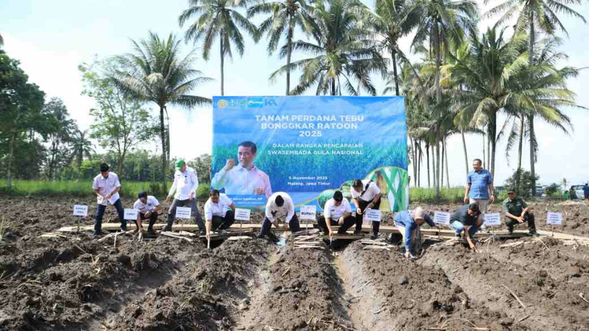 DPRD Kabupaten Malang Diminta Bongkar Dugaan Penyimpangan Proyek Bibit Tebu Rp23 Miliar