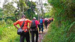 Manfaat Jalan Kaki di Alam Terbuka yang Jarang Diketahui — dan Malang Punya Semua Rutenya