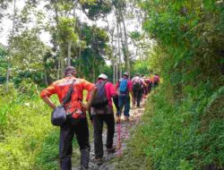 Manfaat Jalan Kaki di Alam Terbuka yang Jarang Diketahui — dan Malang Punya Semua Rutenya