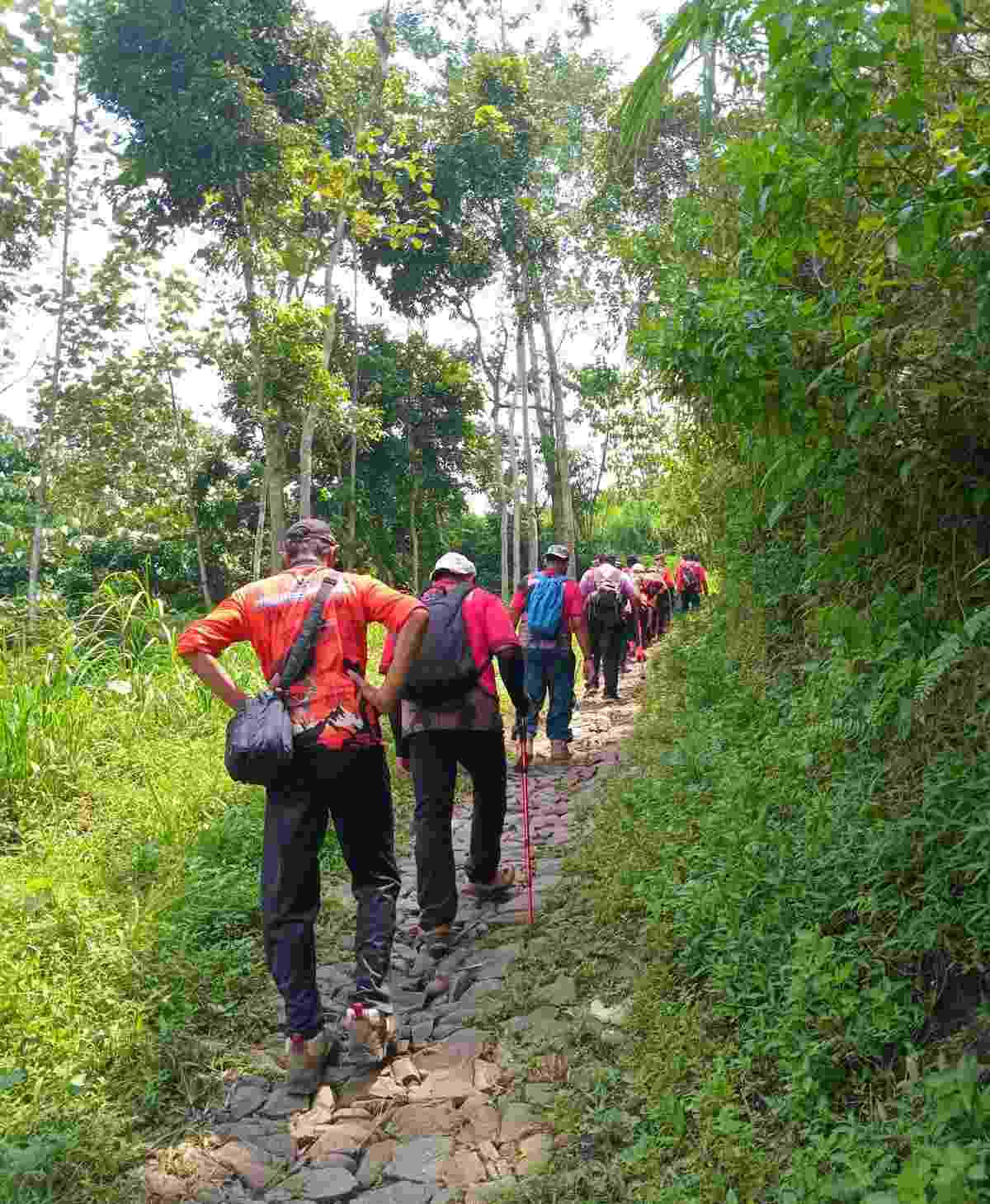 Manfaat Jalan Kaki di Alam Terbuka yang Jarang Diketahui — dan Malang Punya Semua Rutenya