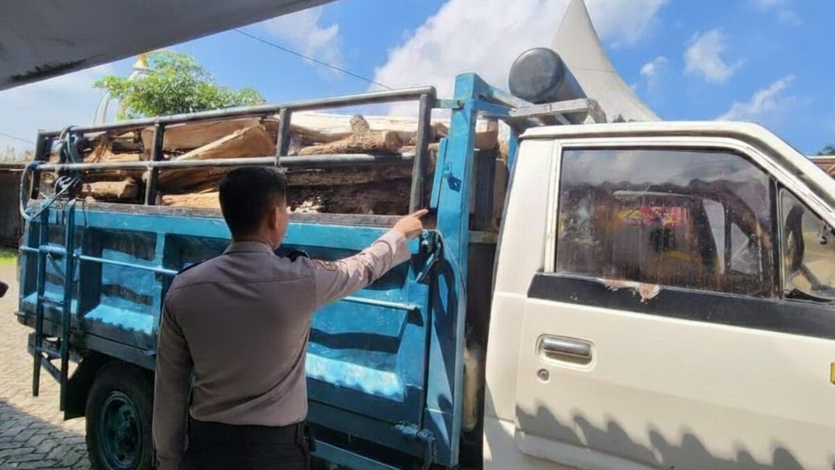 Polisi Bongkar Pembalakan Hutan di Malang Selatan, Truk Bermuatan Kayu Diamankan
