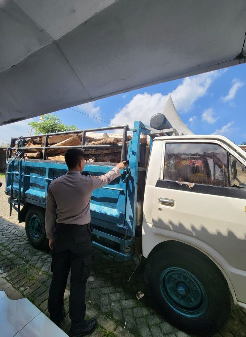 Polisi Bongkar Pembalakan Hutan di Malang Selatan, Truk Bermuatan Kayu Diamankan