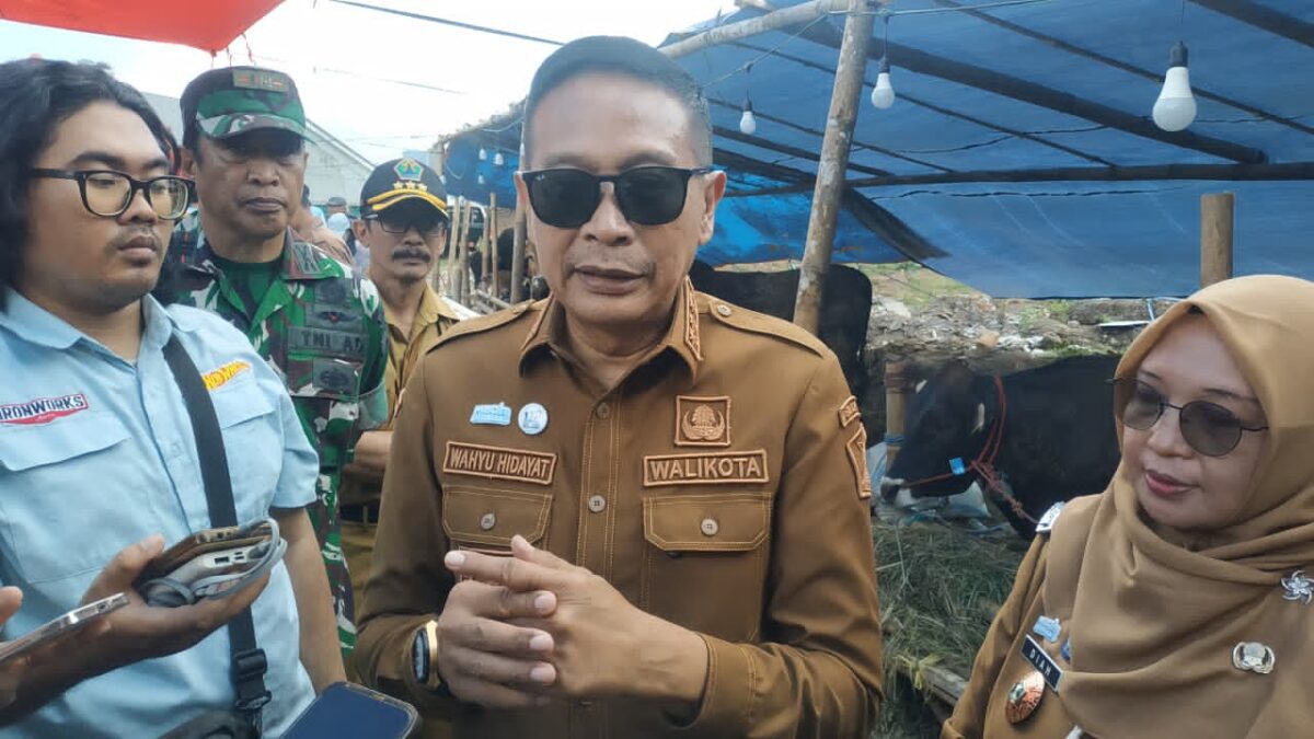 Pemkot Malang Memastikan Hewan Kurban Sehat, Tren Pembelian Sapi Meningkat Jelang Iduladha 1447 H