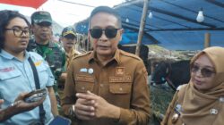 Pemkot Malang Memastikan Hewan Kurban Sehat, Tren Pembelian Sapi Meningkat Jelang Iduladha 1447 H