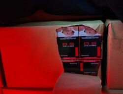 Aksi Kejar Tengah Malam, Bea Cukai Malang Gagalkan Peredaran 464 Ribu Batang Rokok Ilegal