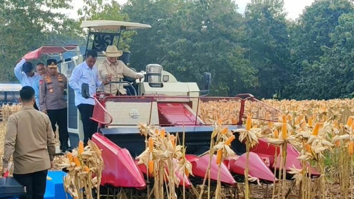 Prabowo Puji Peran Polri dalam Ketahanan Pangan saat Panen Raya Jagung di Tuban