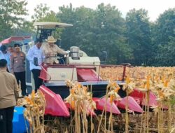 Prabowo Puji Peran Polri dalam Ketahanan Pangan saat Panen Raya Jagung di Tuban