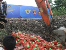 Bareskrim Musnahkan Belasan Ton Bawang Ilegal dari Jalur Tikus Perbatasan Malaysia