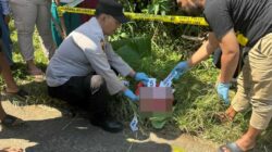 Bayi Laki-laki Ditemukan Meninggal di Pinggir Jalan Karangploso, Polisi Telusuri Pelaku Pembuangan
