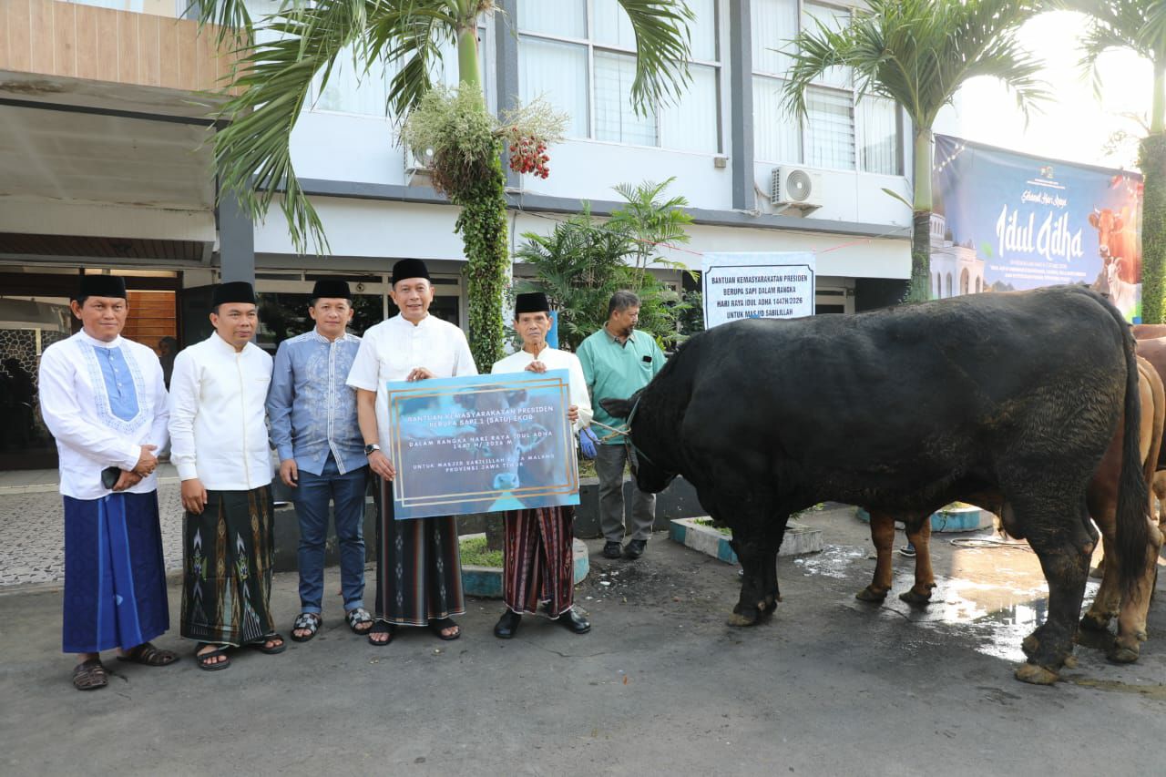 Sapi Kurban Presiden Prabowo Disalurkan ke Masjid Sabilillah, Bobotnya Capai Satu Ton Sapi Kurban Presiden Prabowo Disalurkan ke Masjid Sabilillah, Bobotnya Capai Satu Ton