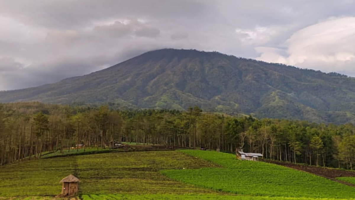 Bukit Jengkoang, Hidden Gem di Kota Batu dengan Panorama Sunrise dan Lautan Kabut